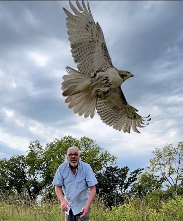 Jon releases RT Hawk photo by Erik Murry